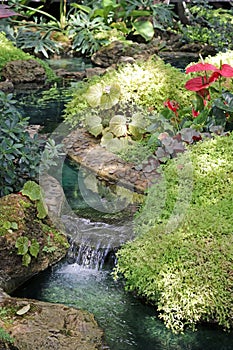 Waterfall and stream in a landscaped garden rockery