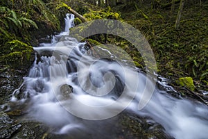 Waterfall and stream on Whidbey Island photo