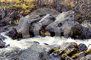 Waterfall stream on the stones of the autumn forest. Autumn forest waterfall stream. River stream in the mountains.