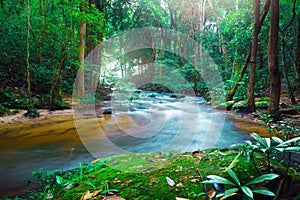 Waterfall stream. thailand doi-inthanon