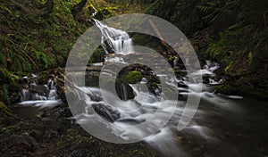 Waterfall and stream on Whidbey Island photo