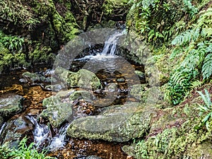 Waterfall and Stream in Woodland, Dunoon, Scotland