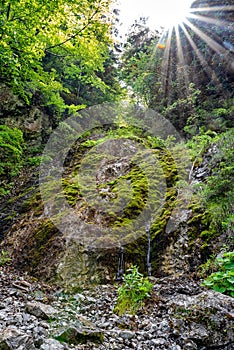 Waterfall and sunbeams in forest