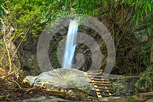 Waterfall surounded with green forest