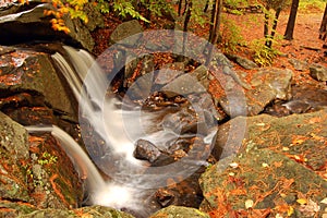 A waterfall is surrounded by autumn foliage