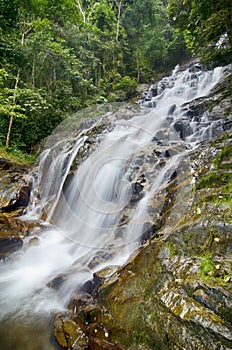 Waterfall surrounded by green nature, the wet rock and mossy around