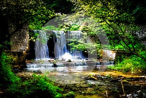 Waterfall surrounded by trees with vivid green leaves in a beautyfull forest