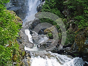 Waterfall Surrounded by Wooded Wilderness