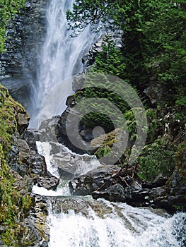 Waterfall Surrounded by Wooded Wilderness