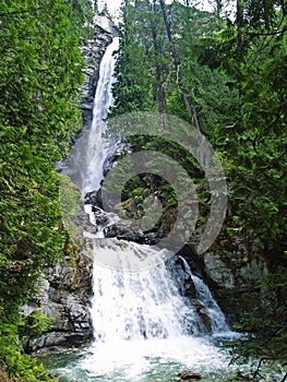 Waterfall Surrounded by Wooded Wilderness