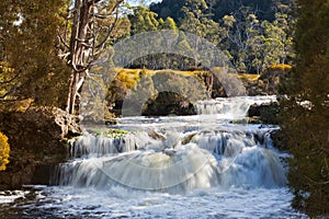 Waterfall in Tasmania photo