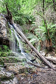 Waterfall Tasmania