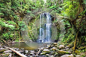 Waterfall Tasmania