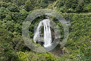 Waterfall at Te Urewera National Park