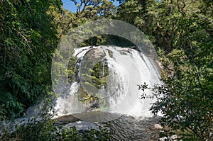 Waterfall at Te Urewera National Park