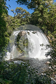 Waterfall at Te Urewera National Park