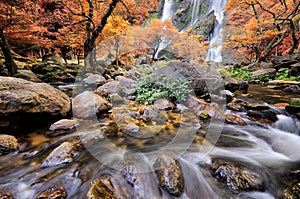 Waterfall in Thailand