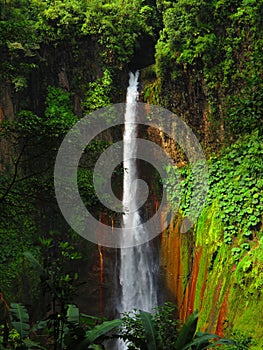 Waterfall Toro Amarillo photo