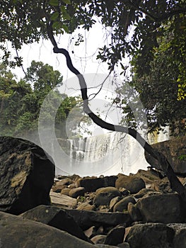 Waterfall tree nature jungle indonesia sunny