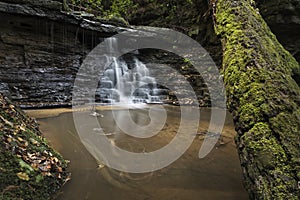 waterfall and tree trunk in the forest with a pool of water