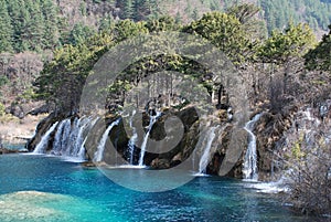Waterfall with trees at Jiuzhaigou