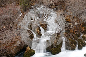 Waterfall with trees in winter