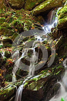 Waterfall in Tremont in the Great Smoky Mountains