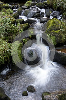 Waterfall, Triberg, Black Forest, Germany