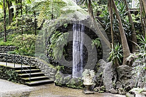 Waterfall in tripcal garden Monte Madeira