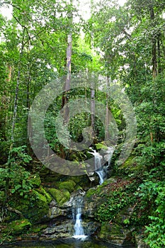 Waterfall in tropical Borneo rainforests