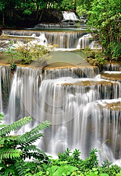 Waterfall in tropical deep forest