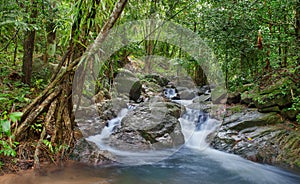 Waterfall in tropical forest