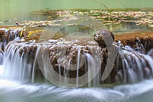 Waterfall in the tropical forest