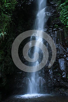 waterfall in tropical forest