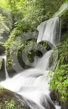 Waterfall in tropical forest