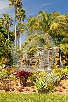 Waterfall in tropical garden