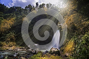 Waterfall in a tropical garden