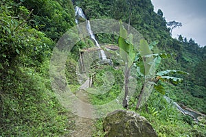 Waterfall in a tropical garden