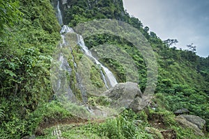 Waterfall in a tropical garden