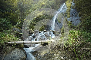 Waterfall in a tropical garden