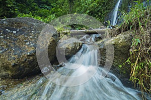 Waterfall in a tropical garden