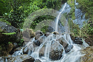 Waterfall in a tropical garden