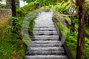 Waterfall in tropical garden in Madeira