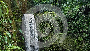 Waterfall in tropical jungle with lush green plants. High humidity
