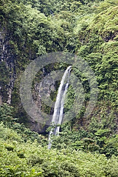 Waterfall in tropical nature. Polynesia. Tahiti.