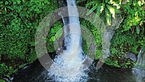 Waterfall Among Tropical Plants And Green Leaves In Bali, Indonesia. Wonderful Mountain Stream With Splashing Water Flowing From