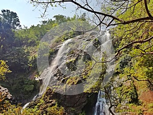 Waterfall in tropical rainforest. Tropical rainforest in Summer season