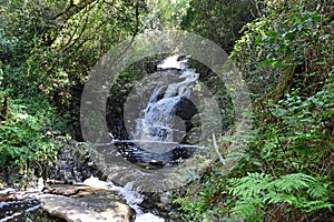 Waterfall, Tsitsikamma National Park, Garden Route, nr Knysna, South Africa