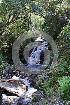 Waterfall, Tsitsikamma National Park, Garden Route, nr Knysna, South Africa