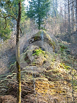 The waterfall of Tuefels Chilen in the hills around Zurich, Switzerland, is famous for its sedimentary tuff structure.